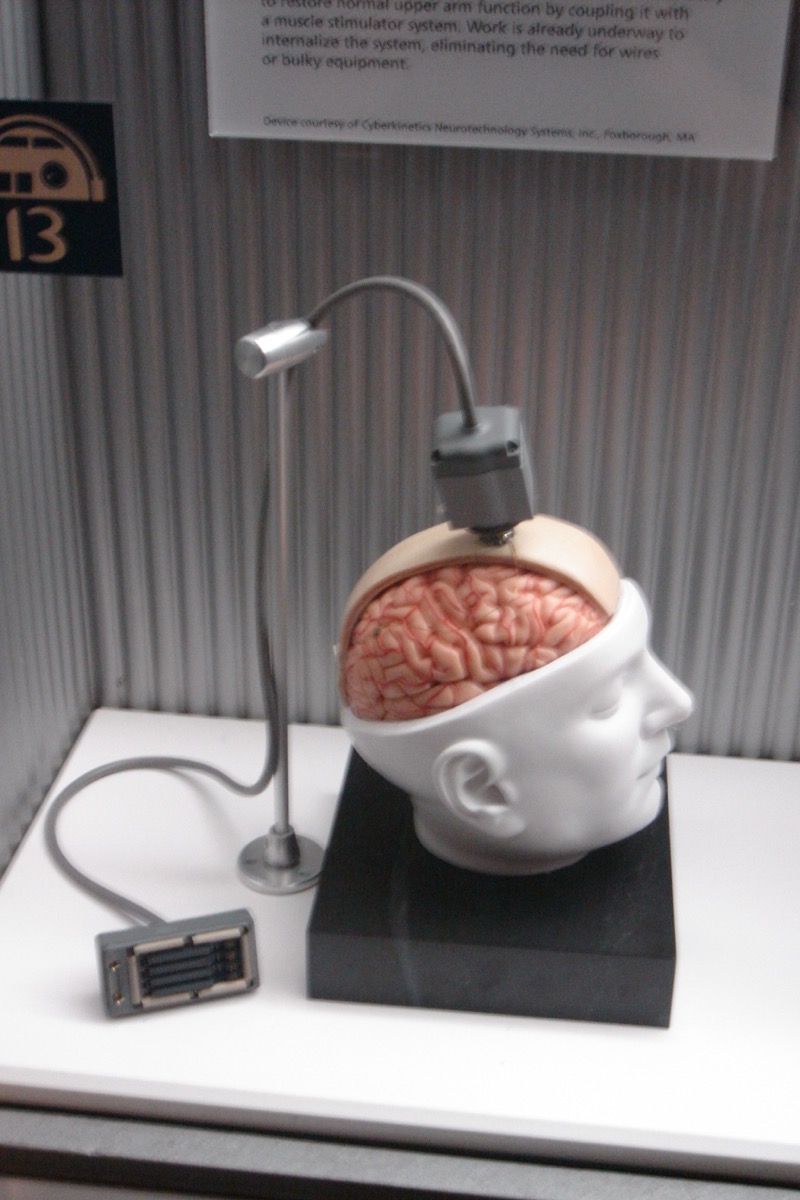 BrainGateシステムの博物館展示。頭部の断面模型の露出した脳にコネクタが取り付けられ、ケーブルで台座につながっている。その横には灰色の電極アレイモジュールが置かれている
